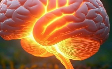 How Neurofeedback Transforms ADHD Management: A Science-Backed Solution